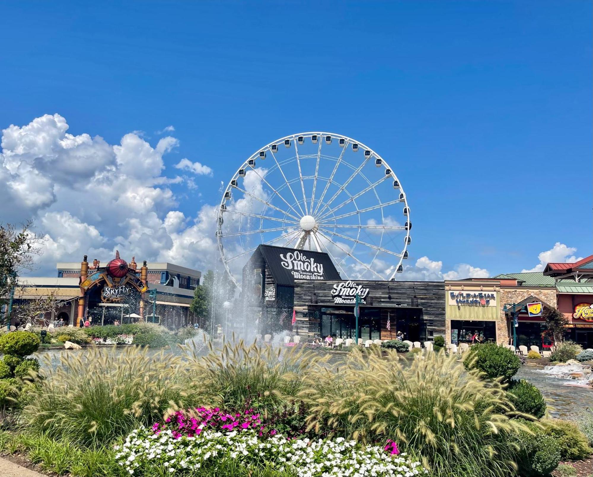 Blue Bear Splash Villa Pigeon Forge Esterno foto